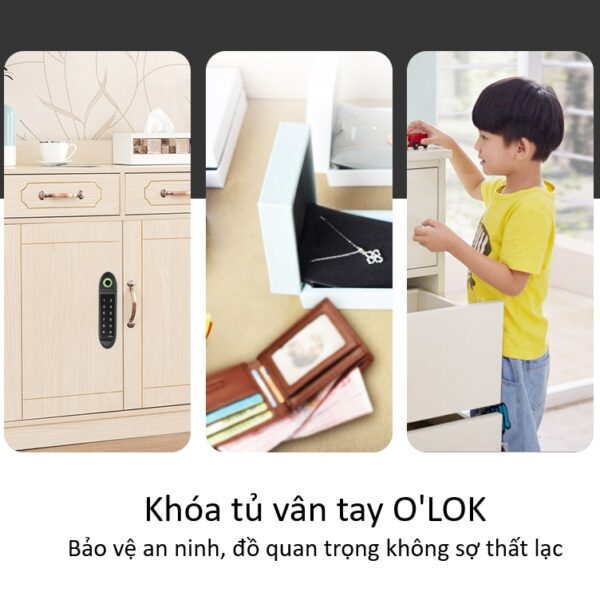 Khóa tủ đồ O'LOK C301 - Hình ảnh 2