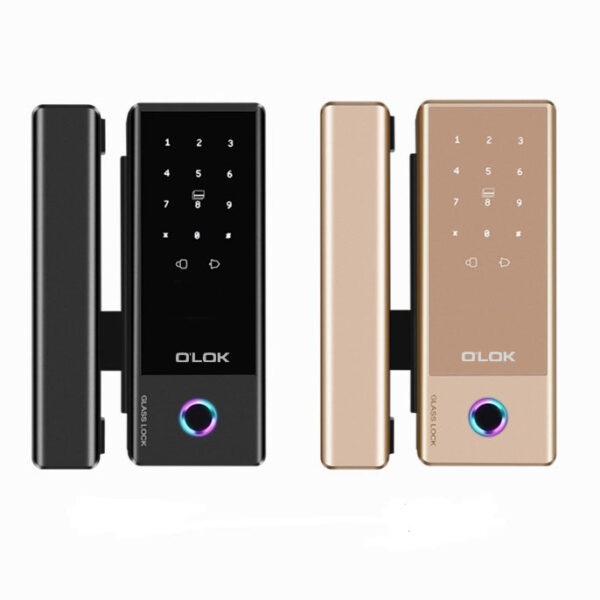 Khóa cửa điện tử O'LOK H6900G - Hình ảnh 2